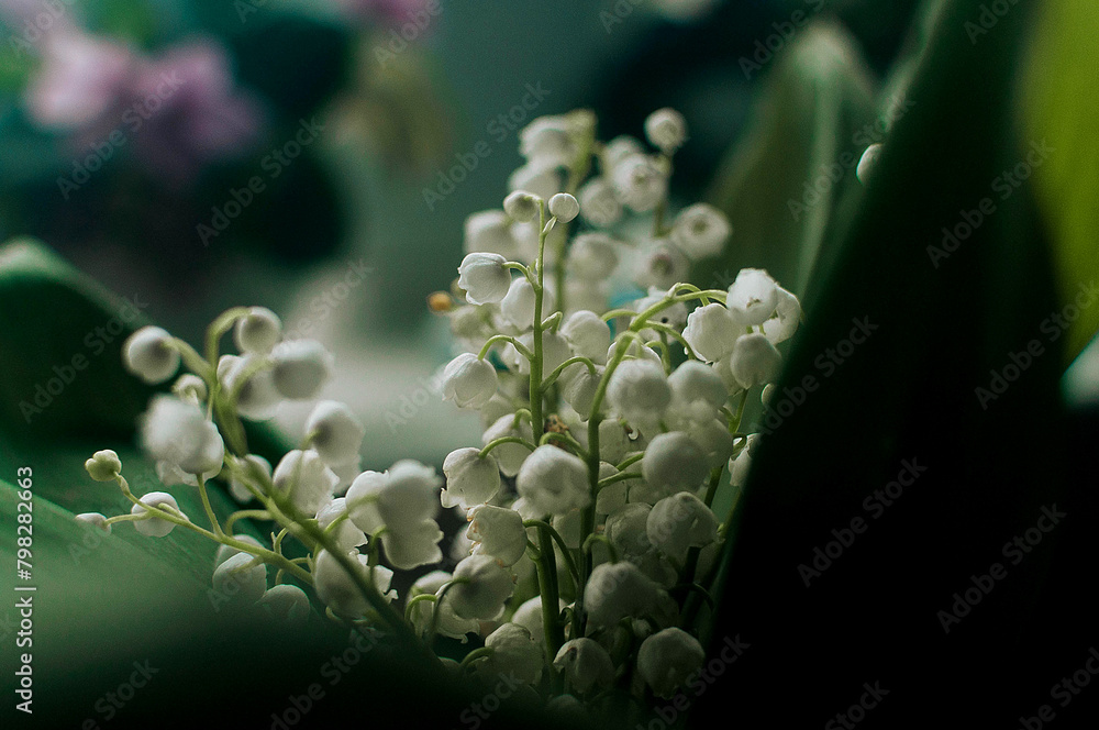 Snowdrop flowers on the table in a vase.High quality photo Snowdrop flowers on the table in a vase.High quality photo