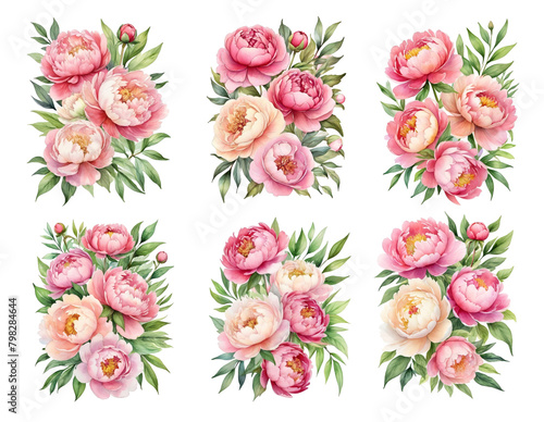 set of 6 bouquet of colorful peonies  watercolor  clipart  white background  isolated