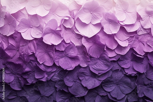 Orchid Purple Petal Gradient Textured Digital Art Display
