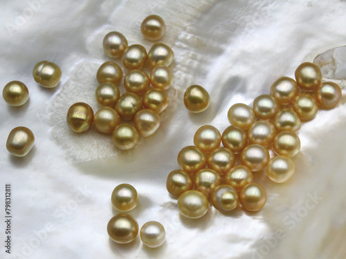 Expensive and luxurious golden saltwater South Sea pearls on a white shell, ready to be made into earrings, pendants or necklaces and sold in jewelry store as a fashionable feminine accessory.
