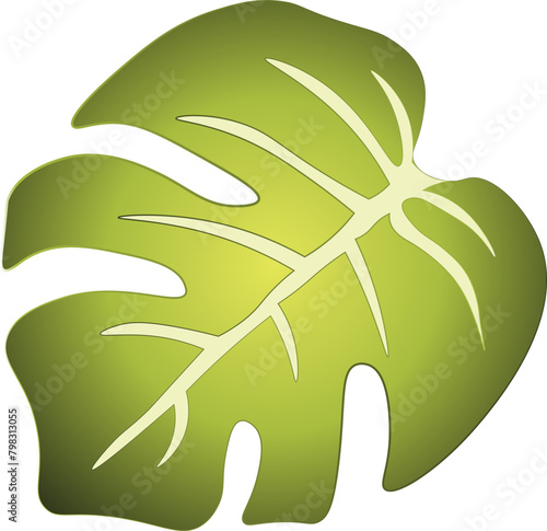 Nature, Green, Leaf, Palm Tree, vector, illustration, nature, leaf, green, decoration, design, plant, flower, floral,  svg, 