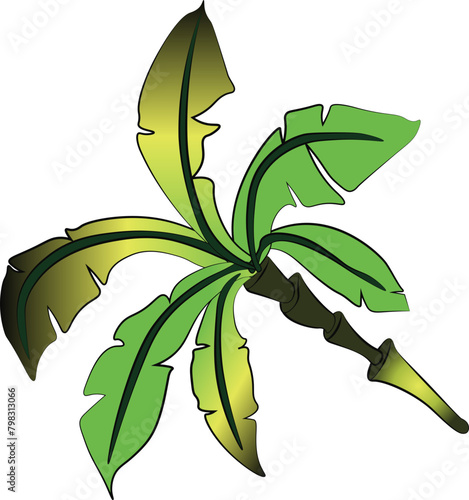 Nature, Green, Leaf, Palm Tree, vector, illustration, nature, leaf, green, decoration, design, plant, flower, floral,  svg, 
