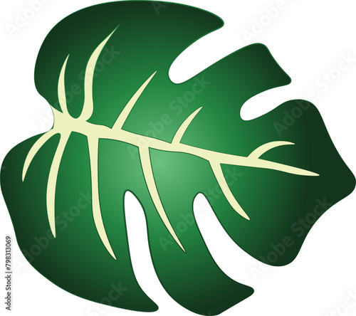 Nature, Green, Leaf, Palm Tree, vector, illustration, nature, leaf, green, decoration, design, plant, flower, floral,  svg, 