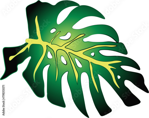 Nature, Green, Leaf, Palm Tree, vector, illustration, nature, leaf, green, decoration, design, plant, flower, floral,  svg,