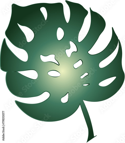 Nature, Green, Leaf, Palm Tree, vector, illustration, nature, leaf, green, decoration, design, plant, flower, floral,  svg, 