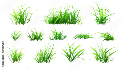 Fresh green grass on a transparent background. Collection of fresh green grass.