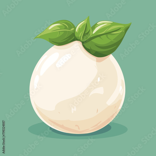 Fresh mozzarella cheese with green leafs. Vector illustration.