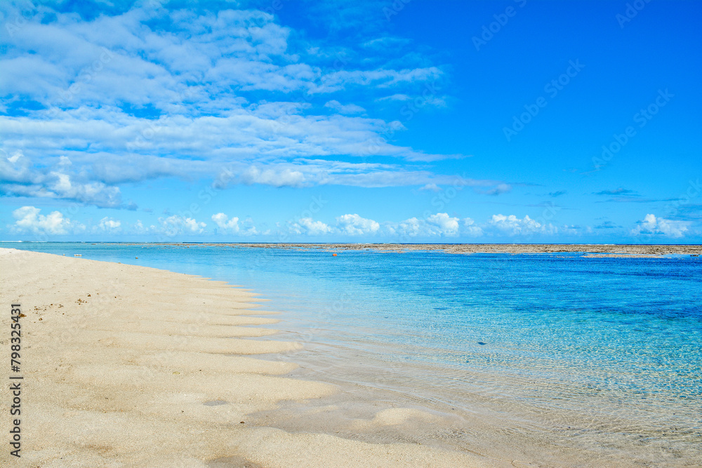 Beautiful summer landscape of the tropical coast