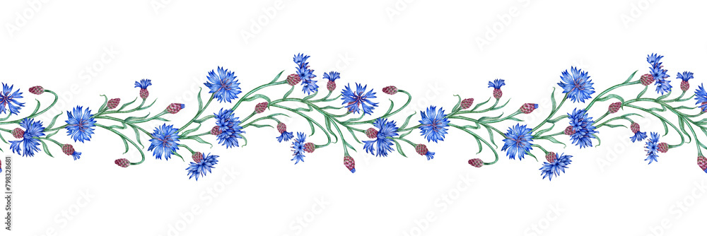 Blue cornflowers horizontal pattern watercolor illustration. Botanical composition element isolated from background. Suitable for cosmetics, aromatherapy, medicine, treatment, care, design,