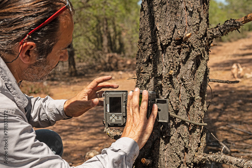 Photography A man who placed a photo trap in a tree to film wild animals.