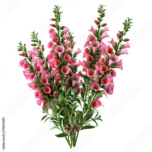 Clipart illustration a snapdragon on white background. Suitable for crafting and digital design projects.[A-0005]