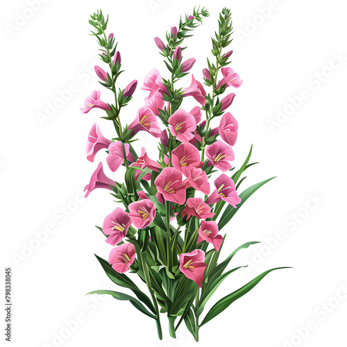Clipart illustration a snapdragon on white background. Suitable for crafting and digital design projects.[A-0004]
