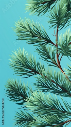 Pine tree branches pattern spruce plant.