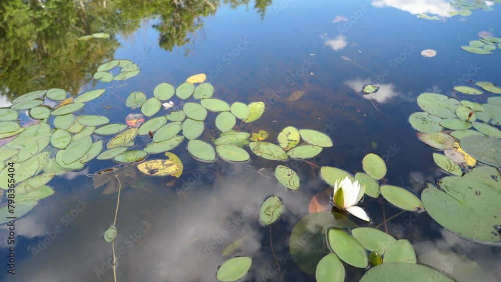 Grafton 0171 Dunham New York