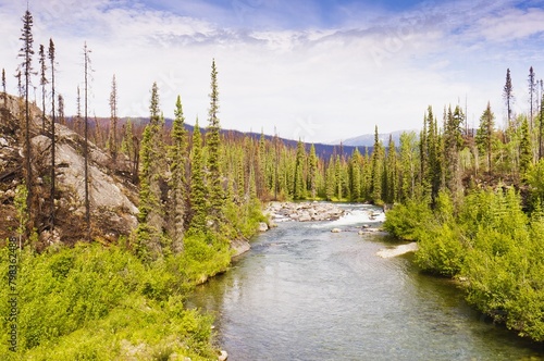 Rapids on the Conglomerate Creek, Yukon.