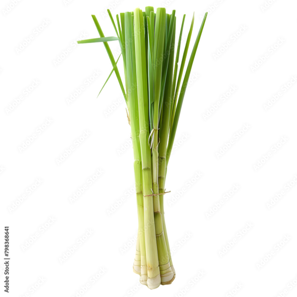Fototapeta premium A fresh stalk of lemongrass, its fibrous texture clear and detailed, transparent background, PNG Cutout