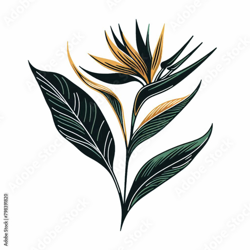bird of paradise flowers with a combination of green, black and gold