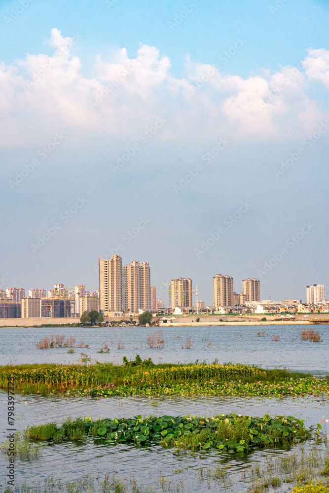 Fototapeta premium Environmental Protection of Mengzi Lake Wetland Natural Landscape in Zoucheng City, Jining City, Shandong Province, China