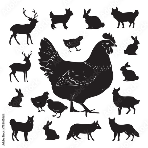 Hen silhouette set. Hand drawn animals silhouette illustration