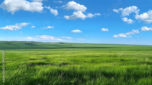The vast grassland under the blue sky and white clouds, with endless green meadows stretching to the horizon.  photo