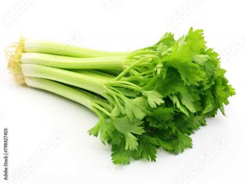 Fresh Celery Isolated on white background photo