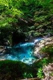 日本の涼し気なエメラルドグリーンに染まる渓流の夏