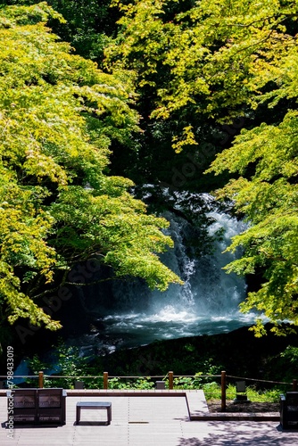 富士吉田市の鐘山の滝の初夏