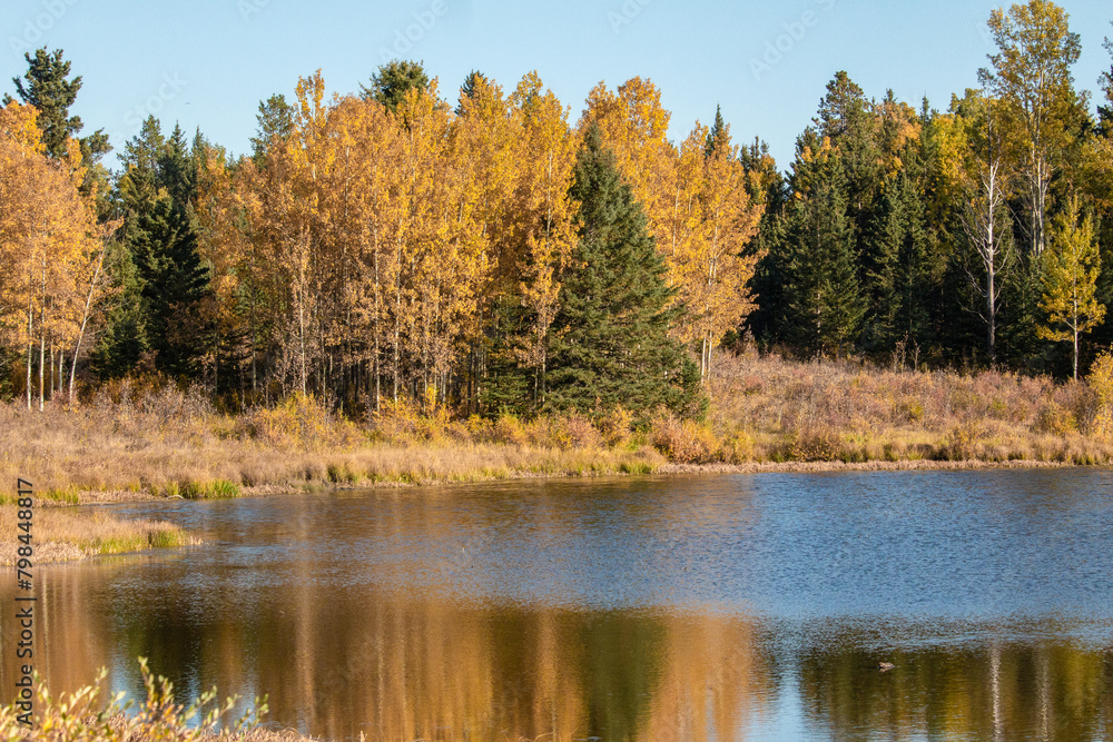 Autumn landscape of trees with yellow and orange fall colored leaves along the shoreline of a small lake. Autumn landscape of trees with yellow and orange fall colored leaves along the shoreline of a small lake.