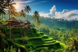 Bali architecture landscape outdoors
