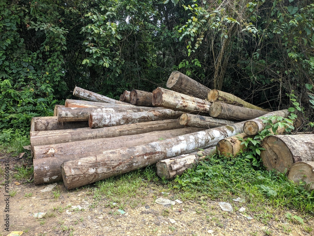 pieces of wood from Kalimantan forest products pieces of wood from Kalimantan forest products