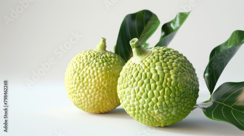 Two jackfruits resting on a white surface, accompanied by rich green leaves, presenting a natural and fresh appearance.