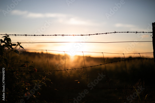 Fence at sunset