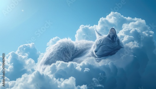 Cat sleeps under summer sky.