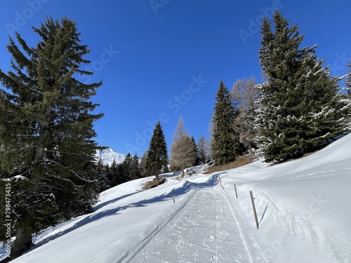 Excellently arranged and cleaned winter trails for walking, hiking, sports and recreation in the area of the tourist resorts of Valbella and Lenzerheide in the Swiss Alps - Switzerland (Schweiz)