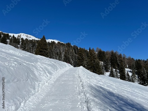 Excellently arranged and cleaned winter trails for walking, hiking, sports and recreation in the area of the tourist resorts of Valbella and Lenzerheide in the Swiss Alps - Switzerland (Schweiz)