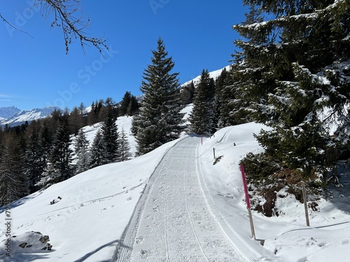 Excellently arranged and cleaned winter trails for walking  hiking  sports and recreation in the area of the tourist resorts of Valbella and Lenzerheide in the Swiss Alps - Switzerland  Schweiz 