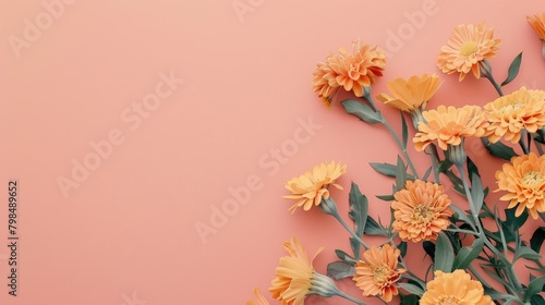 marigold flowers on top of solid orange background with copyspace for text