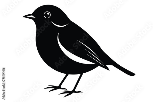 American robin bird species vector design