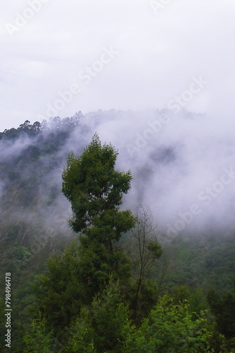monsoon clouds gathering over palani hills, part of western ghats mountains range, wildernessn of tropical rainforest, kodaikanal in tamilnadu, india photo