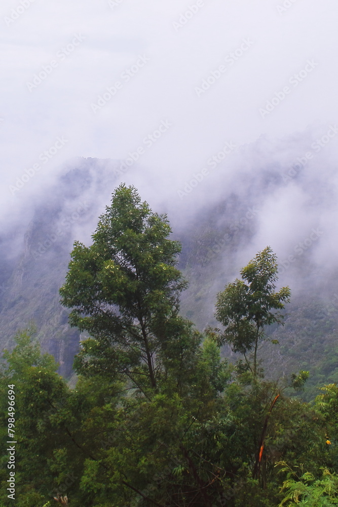 monsoon clouds gathering over palani hills, part of western ghats mountains range, wildernessn of tropical rainforest, kodaikanal in tamilnadu, india