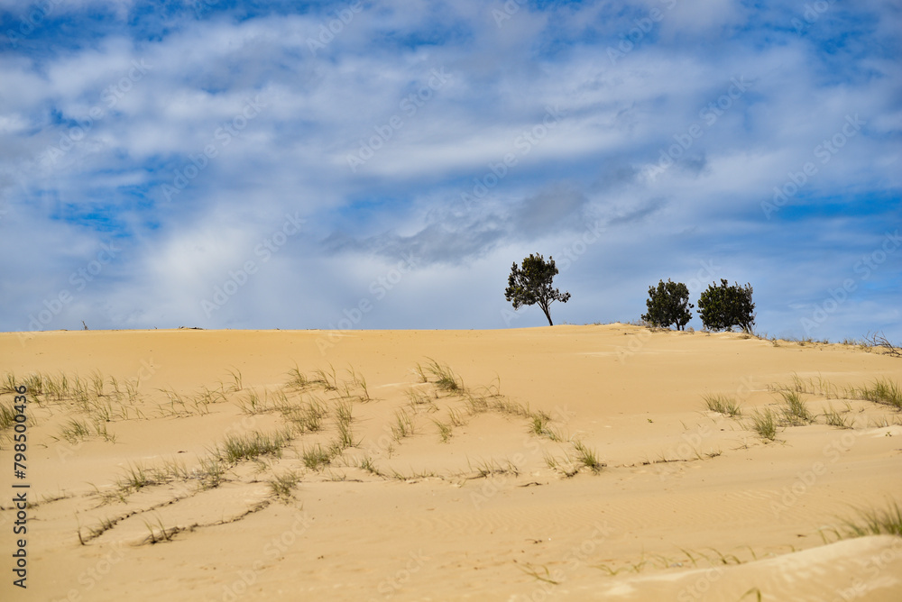Walk through the sand dunes to Tin City Walk through the sand dunes to Tin City