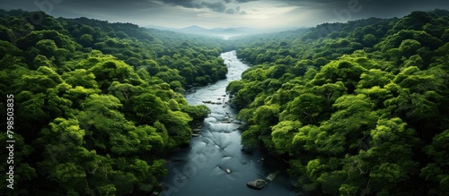 Panoramic view of a river flowing through the green forest.