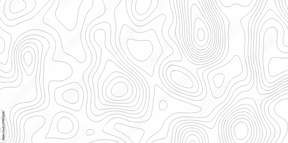Fototapeta premium Abstract pattern with lines seamless pattern and topography map and counter map. abstract sea map and mounte map area space geometric line technology topo landscape grid map texture.