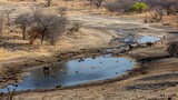Extreme Heat Impact on Wildlife Reserve: Exploring Effects of High Temperatures on Wildlife Ecosystems