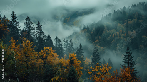 Moody Nature autumn, scarry and foggy mountains photo