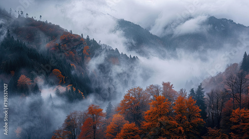 Moody Nature autumn, scarry and foggy mountains