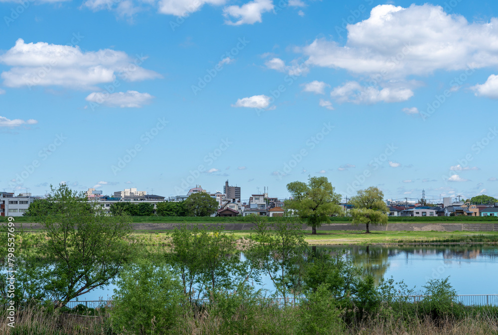登戸,和泉多摩川からの多摩川の風景 登戸,和泉多摩川からの多摩川の風景