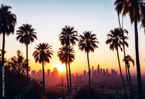 'USA California background downtown tree palm view sunset hot Angeles Los smog air south panorama sky daylight day american skyscraper coast warm america us travel pollution business horizontal'