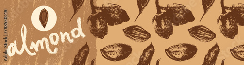 Almond label template with almonds seamless pattern. Hand-drawn illustrations of nuts for web banner, oil packaging or marzipan paste label design. Vector floral sketches background, almond ornament.