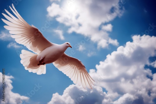 'white sky clouds blue dove flying light ray sunbeam wing symbol animal bird feather freedom pet peace pigeon widener concept idea religion tranquil purity1 spirituality hope free homing grace'